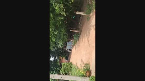 Land for sale, Nakhon Ratchasima, Sung Noen, Nakhon Ratchasima, , 504 sqm, Land For Sale, by วิรณี อัลล์กาเยอร์, 60066745 - DDproperty.com