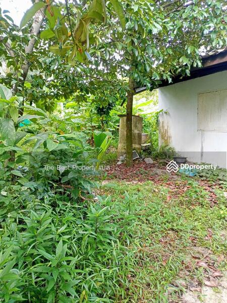ขาย - บ้านเดี่ยวโพธิ์เสด็จ นครศรีธรรมราช, นครศรีธรรมราช