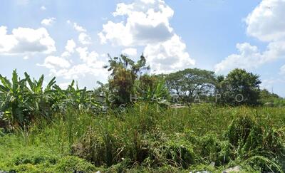 ขาย - ขายที่ดินเปล่า ทำเลดี 100 ตร.ว. นิมิตรใหม่ มีนบุรี คลองสามวา กรุงเทพฯ, กรุงเทพ