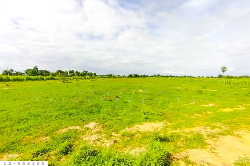 For Sale - LK-864293 Land in Nong Ya Sai, 12 rai 204 sq w, Suphan Buri, near Nong Samrong School, Suphan Buri