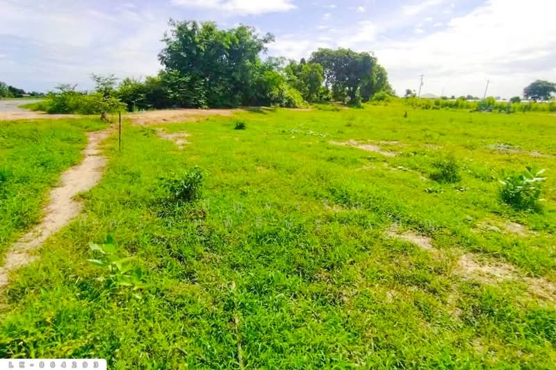 For Sale - LK-864293 Land in Nong Ya Sai, 12 rai 204 sq w, Suphan Buri, near Nong Samrong School, Suphan Buri