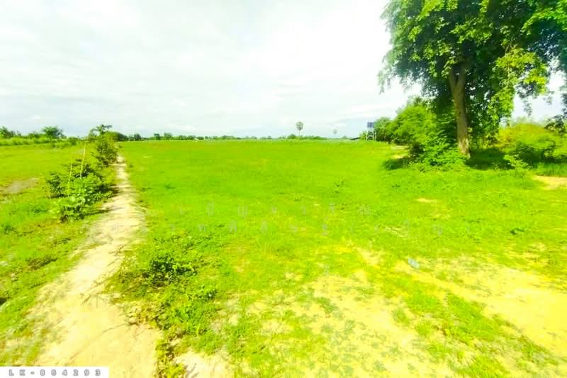 For Sale - LK-864293 Land in Nong Ya Sai, 12 rai 204 sq w, Suphan Buri, near Nong Samrong School, Suphan Buri