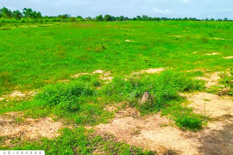For Sale - LK-864293 Land in Nong Ya Sai, 12 rai 204 sq w, Suphan Buri, near Nong Samrong School, Suphan Buri