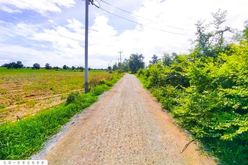 For Sale - LK-864293 Land in Nong Ya Sai, 12 rai 204 sq w, Suphan Buri, near Nong Samrong School, Suphan Buri