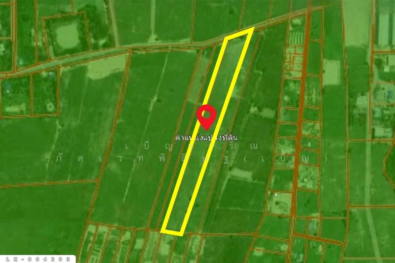 For Sale - LK-864293 Land in Nong Ya Sai, 12 rai 204 sq w, Suphan Buri, near Nong Samrong School, Suphan Buri