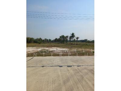 ขาย - ขายที่ดินหนองขยาด 2 ไร่ ติดถนน2ด้าน ใกล้แยกมาบโป่ง(นิคมอมตะ)-10กม. อ.พนัสนิคม, ชลบุรี