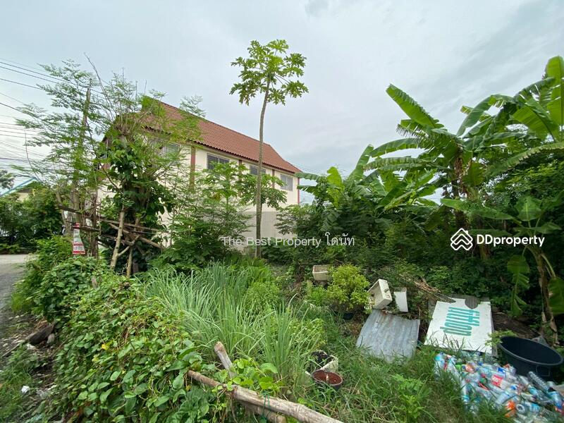 ขาย - ที่ดินคลองสามวา กรุงเทพมหานคร, กรุงเทพ