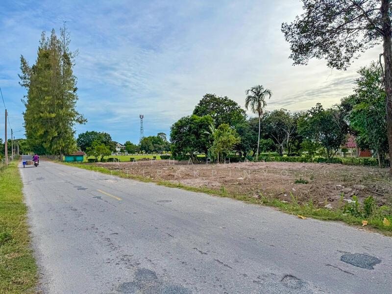 185 & 182 sqw of Land for Sale in Na Jomtien, near Wat Yan, Chon Buri (Pattaya), Bang Sa-re, Sattahip, Chon Buri (Pattaya), , 1,468 sqm, Land For Sale, by Naphaphat Nitipakpinyo, 60067452 - DDproperty.com