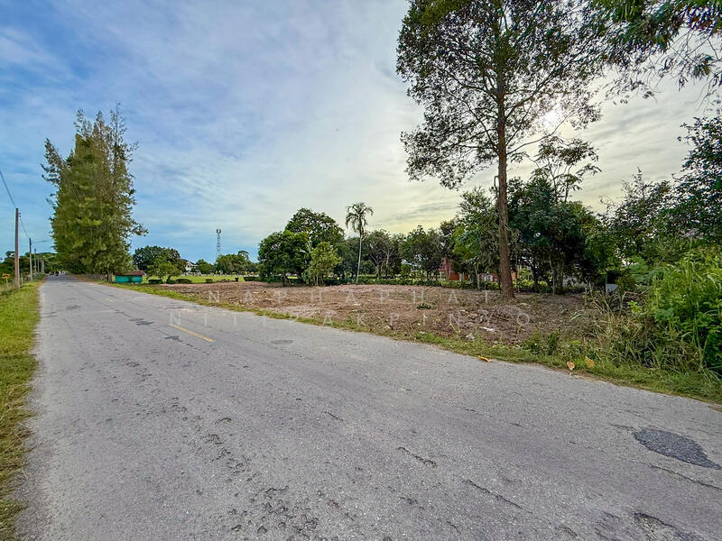 185 & 182 sqw of Land for Sale in Na Jomtien, near Wat Yan, Chon Buri (Pattaya), Bang Sa-re, Sattahip, Chon Buri (Pattaya), , 1,468 sqm, Land For Sale, by Naphaphat Nitipakpinyo, 60067452 - DDproperty.com
