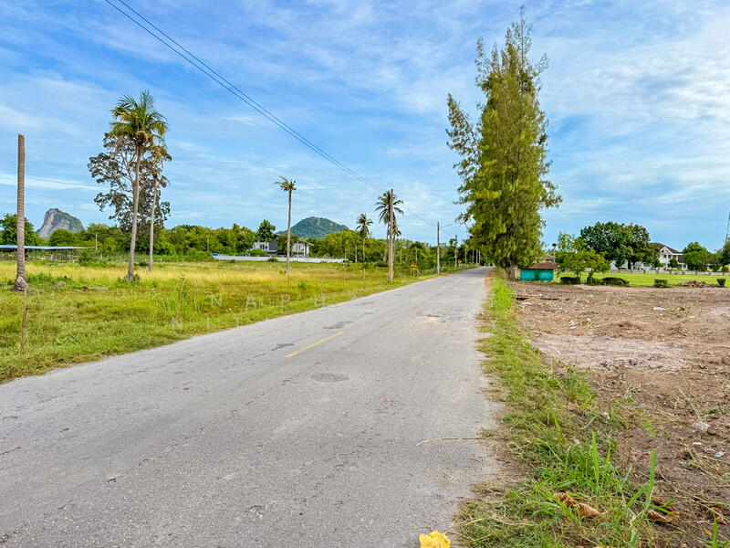 185 & 182 sqw of Land for Sale in Na Jomtien, near Wat Yan, Chon Buri (Pattaya), Bang Sa-re, Sattahip, Chon Buri (Pattaya), , 1,468 sqm, Land For Sale, by Naphaphat Nitipakpinyo, 60067452 - DDproperty.com