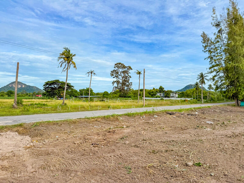 185 & 182 sqw of Land for Sale in Na Jomtien, near Wat Yan, Chon Buri (Pattaya), Bang Sa-re, Sattahip, Chon Buri (Pattaya), , 1,468 sqm, Land For Sale, by Naphaphat Nitipakpinyo, 60067452 - DDproperty.com