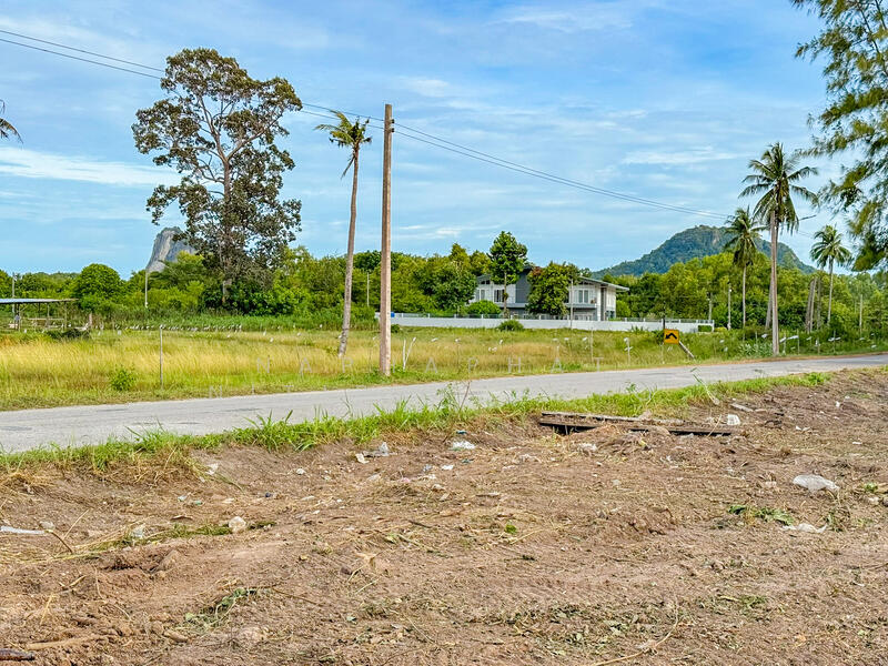 185 & 182 sqw of Land for Sale in Na Jomtien, near Wat Yan, Chon Buri (Pattaya), Bang Sa-re, Sattahip, Chon Buri (Pattaya), , 1,468 sqm, Land For Sale, by Naphaphat Nitipakpinyo, 60067452 - DDproperty.com