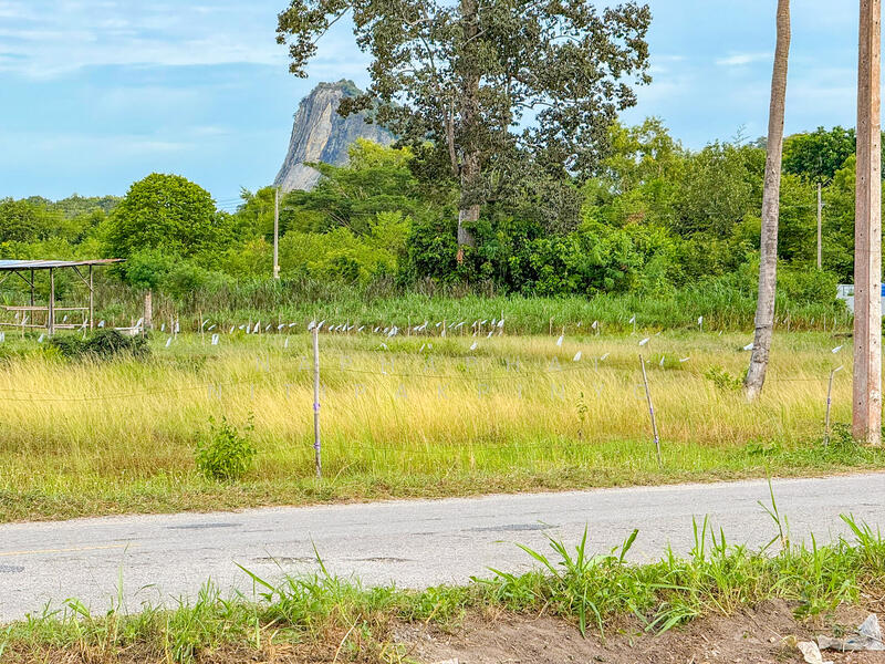 185 & 182 sqw of Land for Sale in Na Jomtien, near Wat Yan, Chon Buri (Pattaya), Bang Sa-re, Sattahip, Chon Buri (Pattaya), , 1,468 sqm, Land For Sale, by Naphaphat Nitipakpinyo, 60067452 - DDproperty.com