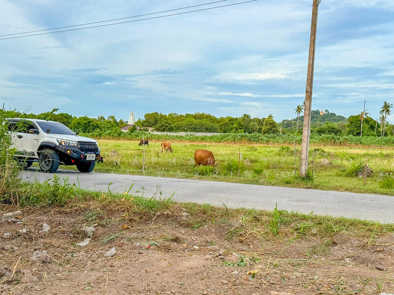 185 & 182 sqw of Land for Sale in Na Jomtien, near Wat Yan, Chon Buri (Pattaya), Bang Sa-re, Sattahip, Chon Buri (Pattaya), , 1,468 sqm, Land For Sale, by Naphaphat Nitipakpinyo, 60067452 - DDproperty.com