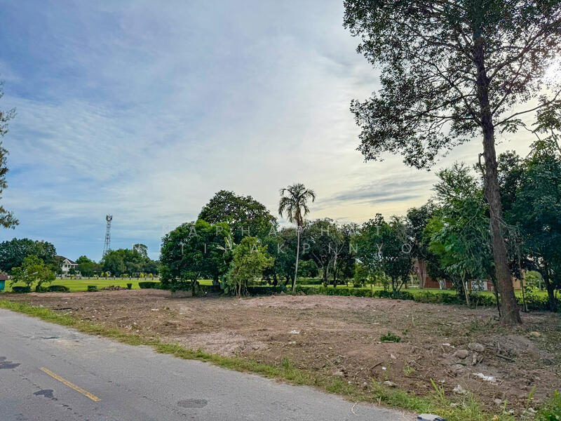 185 & 182 sqw of Land for Sale in Na Jomtien, near Wat Yan, Chon Buri (Pattaya), Bang Sa-re, Sattahip, Chon Buri (Pattaya), , 1,468 sqm, Land For Sale, by Naphaphat Nitipakpinyo, 60067452 - DDproperty.com