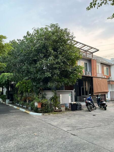 Areeya The Color 1, Bangkok, Lat Pla Khao Road, Chorake Bua, Lat Phrao, Bangkok, 3 Bedrooms, 140 sqm, Townhouse For Sale, by NR AGENT, 60067512 - DDproperty.com
