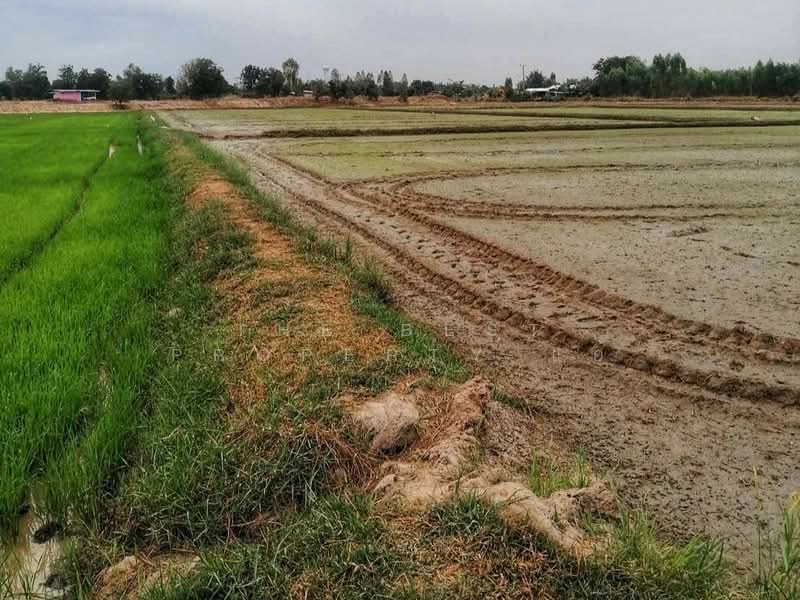 ที่ดินทัพทัน อุทัยธานี, Uthai Thani, Nong Krathum, Thap Than, Uthai Thani, , 108,928 sqm, Land For Sale, by The Best Property แอ้, 60067572 - DDproperty.com