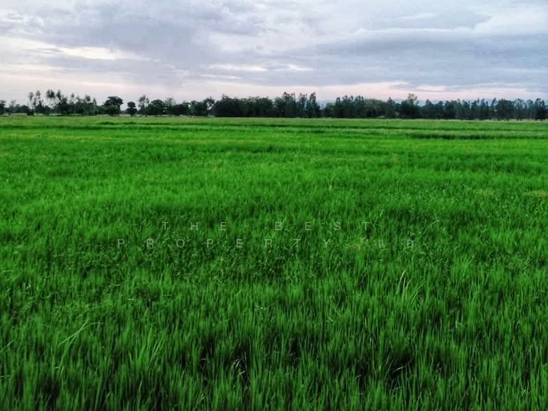 ที่ดินทัพทัน อุทัยธานี, อุทัยธานี, หนองกระทุ่ม, ทัพทัน, อุทัยธานี, 108,928 ตร.ม., ที่ดิน ขาย, โดย The Best Property แอ้, 60067572 - DDproperty.com