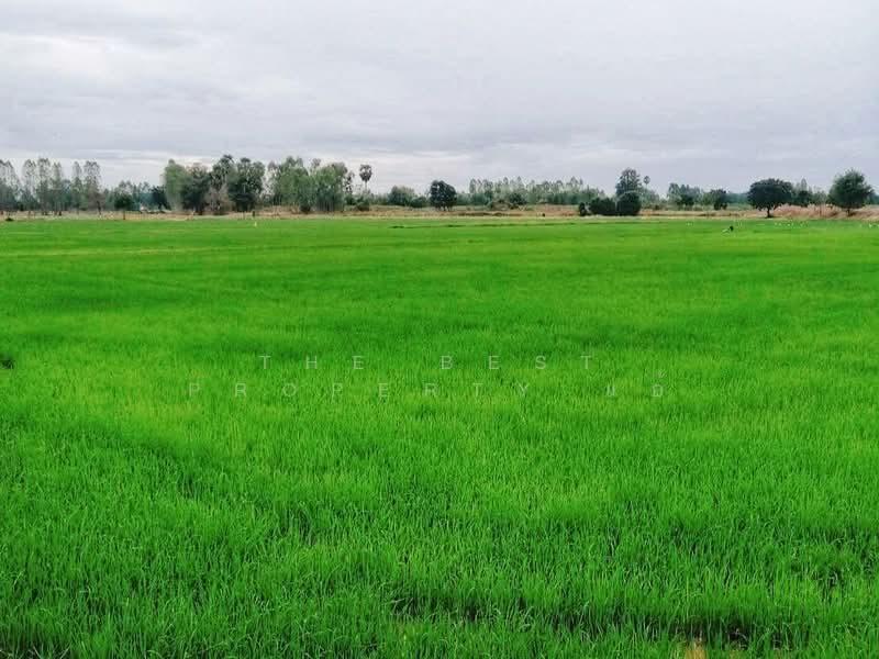 ที่ดินทัพทัน อุทัยธานี, Uthai Thani, Nong Krathum, Thap Than, Uthai Thani, , 108,928 sqm, Land For Sale, by The Best Property แอ้, 60067572 - DDproperty.com