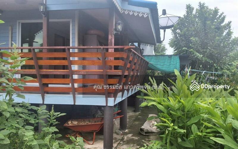 ขาย - บ้านเดี่ยว 2 ชั้น 100 ตร.ว. บ้านเดี่ยว ใกล้วัดมะสง ติดถนนเรียบคลองตาชม ถนนบ้านกล้วย-ไทรน้อย ไทรน้อย, นนทบุรี