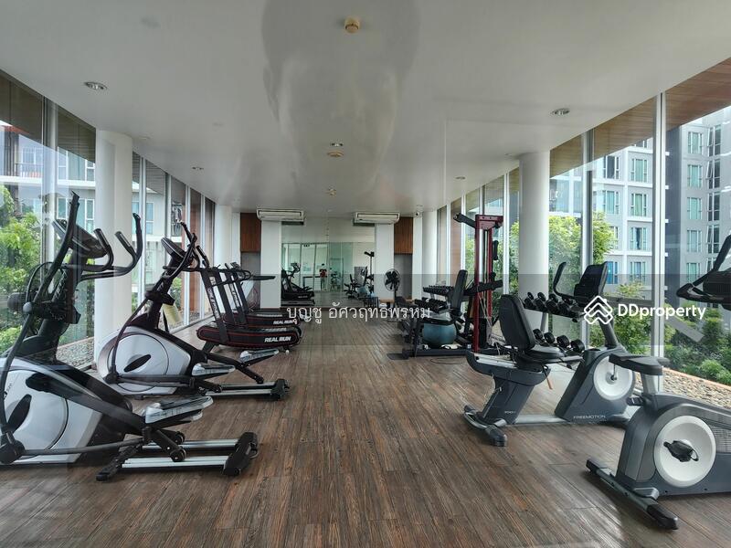 ให้เช่า - Serrano Condominium : เซอราโน่ คอนโดมิเนียม, กรุงเทพ