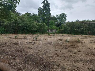 ขาย - ขาย ที่ดิน 195 ตร.ว. หมู่บ้านเรืองอนันต์ ซอย เพรชเกษม 64 บางเเค, กรุงเทพ