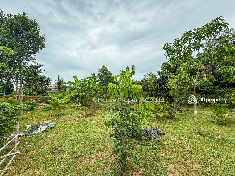 ขาย - บ้านสวนร่มรื่น ใกล้วัดญานสังวราราม ห้วยใหญ่ บางละมุง, ชลบุรี
