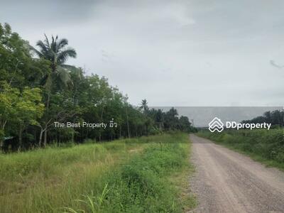 ขาย - ที่ดินบางสะพาน ประจวบคีรีขันธ์, ประจวบคีรีขันธ์