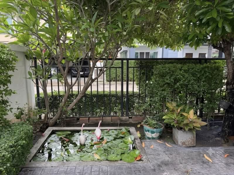 Life Bangkok Boulevard Ramintra 23, Bangkok, Soi Ram Inthra 23, Anusaowari, Bang Khen, Bangkok, 3 Bedrooms, 250 sqm, Single Detached House For Sale, by Connex Property, 60070773 - DDproperty.com
