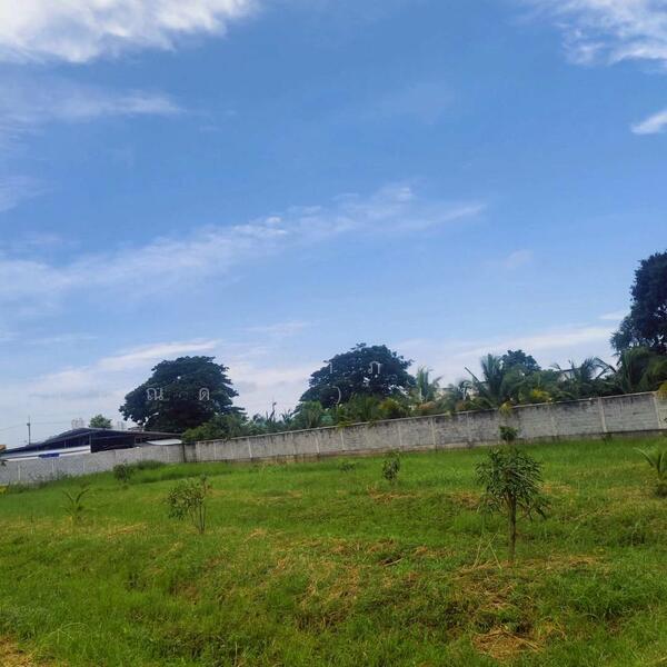 พัทยาเหนือฝั่งตะวันออก - ใกล้มอเตอร์เวย์สาย 7 - โป่ง - ซอยหนองใหญ่, Chon Buri (Pattaya), ถนนซอยหนองใหญ่ - พัทยาเหนือ, Nong Pru, Bang Lamung (Pattaya), Chon Buri (Pattaya), , 4,352 sqm, Land For Sale, by Nichapa Phiachan, 60070799 - DDproperty.com