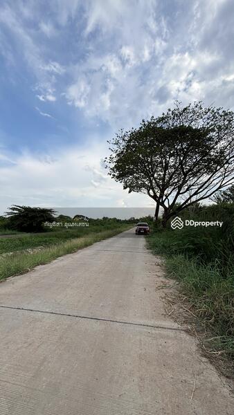 ขาย - ที่ดิน 23 ไร่ เลี่ยงเมืองโคราช-ขอนแก่น, นครราชสีมา