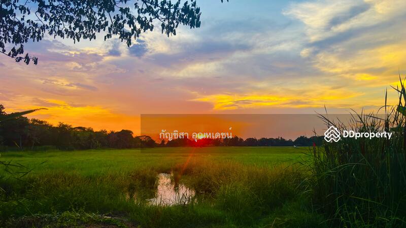 ขาย - ที่ดิน 23 ไร่ เลี่ยงเมืองโคราช-ขอนแก่น, นครราชสีมา