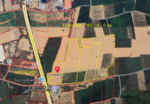 ขายที่ดิน ชลบุรี พนัสนิคม หนองปรือ : land for sell Chonburi Phanat Nikom Nong Prue, ชลบุรี