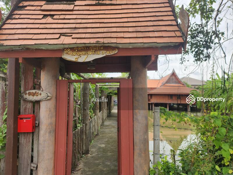 ขาย - บ้านทรงไทยแท้ บนบ่อน้ำส่วนตัว ใจกลางบางกรวย นนทบุรี (ซอยหมู่บ้านธนากร 2), นนทบุรี