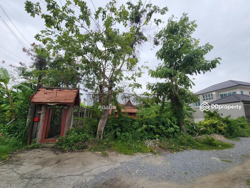ขาย - บ้านทรงไทยแท้ บนบ่อน้ำส่วนตัว ใจกลางบางกรวย นนทบุรี (ซอยหมู่บ้านธนากร 2), นนทบุรี