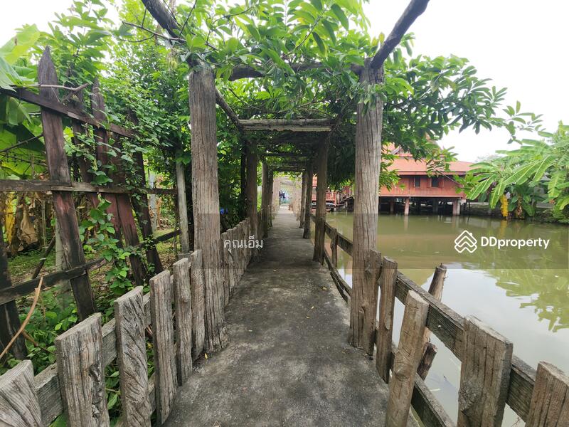 ขาย - บ้านทรงไทยแท้ บนบ่อน้ำส่วนตัว ใจกลางบางกรวย นนทบุรี (ซอยหมู่บ้านธนากร 2), นนทบุรี