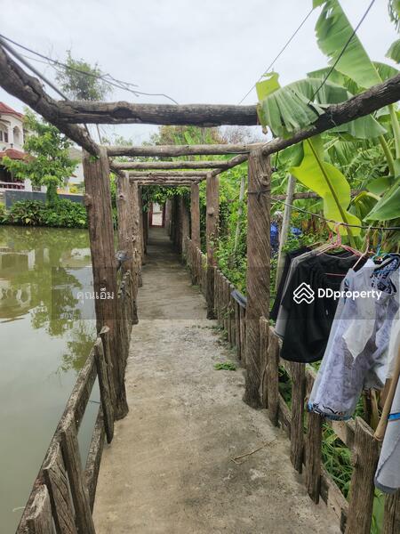 ขาย - บ้านทรงไทยแท้ บนบ่อน้ำส่วนตัว ใจกลางบางกรวย นนทบุรี (ซอยหมู่บ้านธนากร 2), นนทบุรี