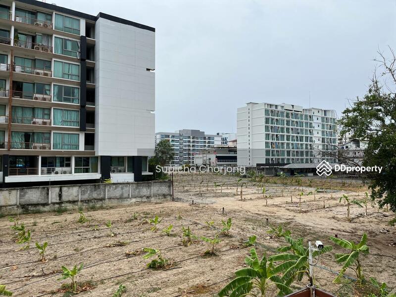 ขาย - City Garden Pattaya : ซิตี้ การ์เด้น พัทยา, ชลบุรี
