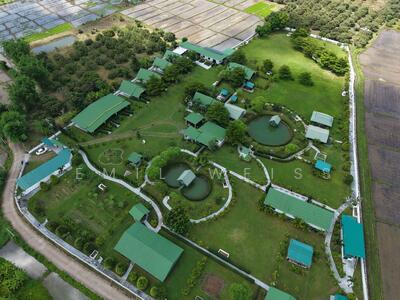 ขาย - 920211008-9, เชียงใหม่