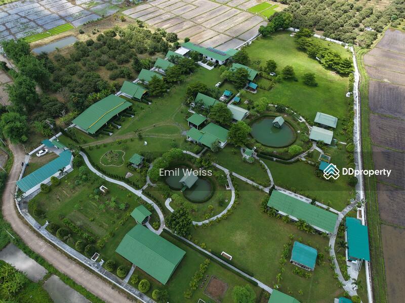 For Sale - 920211008-9, Chiang Mai