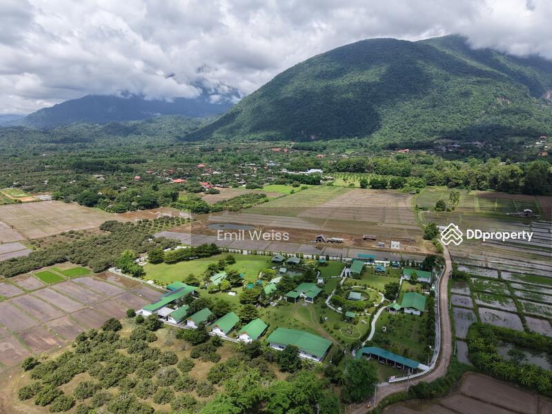 For Sale - 920211008-9, Chiang Mai