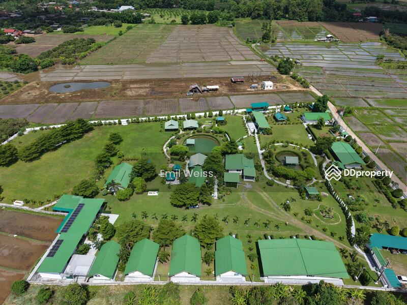 For Sale - 920211008-9, Chiang Mai