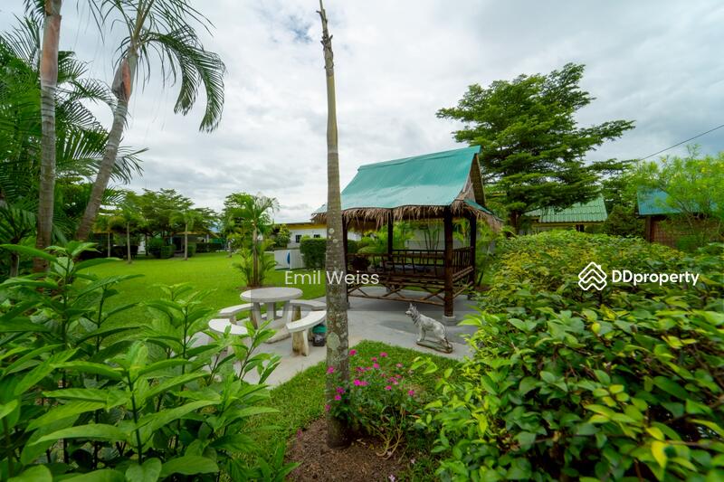 For Sale - 920211008-9, Chiang Mai