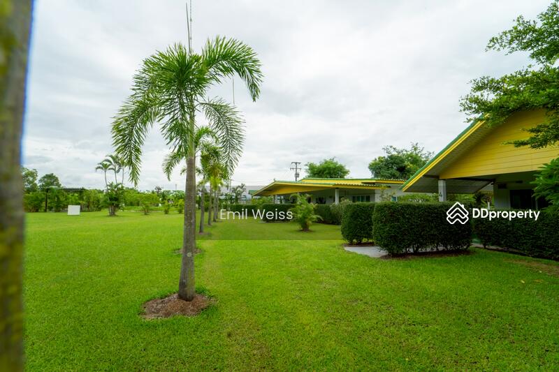 For Sale - 920211008-9, Chiang Mai