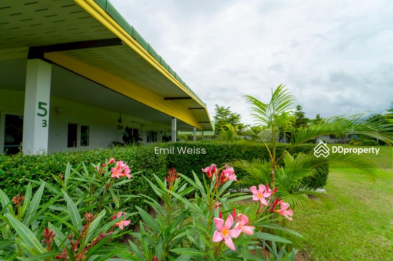 For Sale - 920211008-9, Chiang Mai