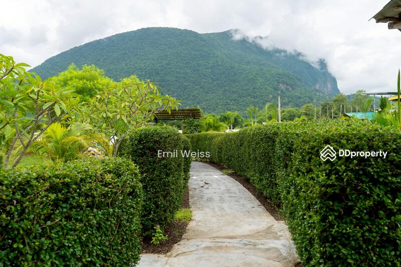 For Sale - 920211008-9, Chiang Mai