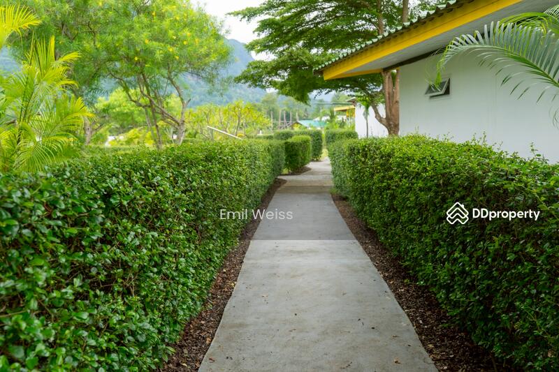 For Sale - 920211008-9, Chiang Mai