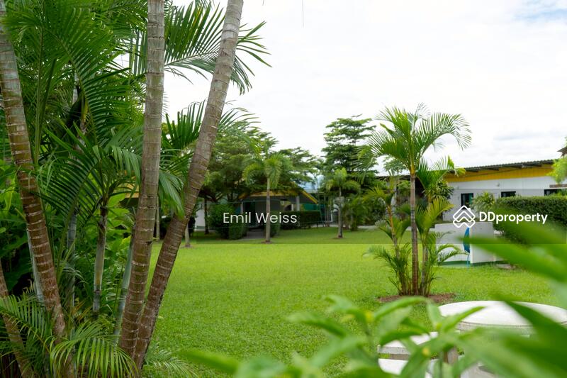 For Sale - 920211008-9, Chiang Mai
