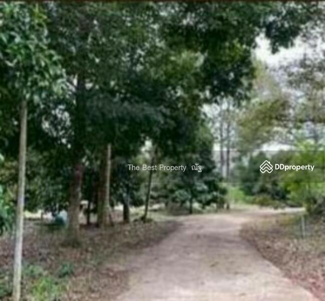 For Sale - ที่ดินมะขาม จันทบุรี, Chanthaburi