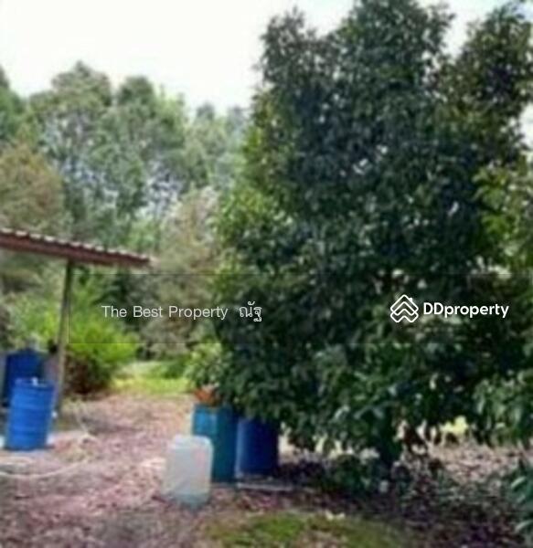 For Sale - ที่ดินมะขาม จันทบุรี, Chanthaburi